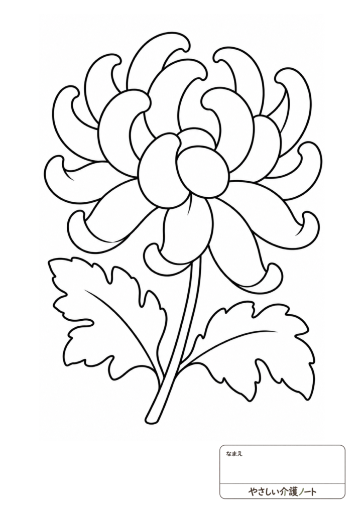 大きな菊の花が一輪描かれた、かんたんな白黒塗り絵