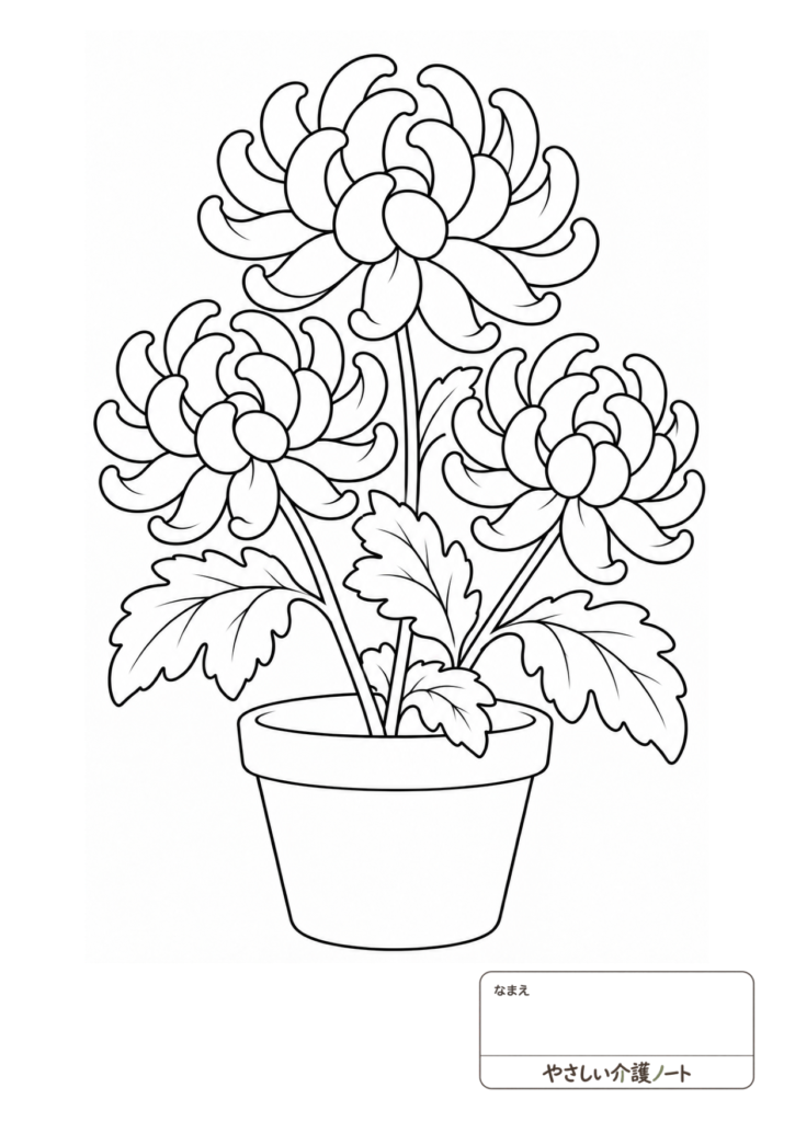 鉢に咲いた三輪の菊の花の白黒塗り絵