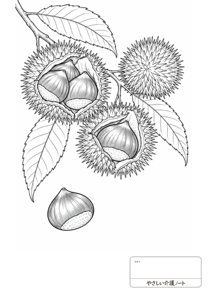 栗といが、葉を描いた、10月の塗り絵・ふつう編の白黒線画。